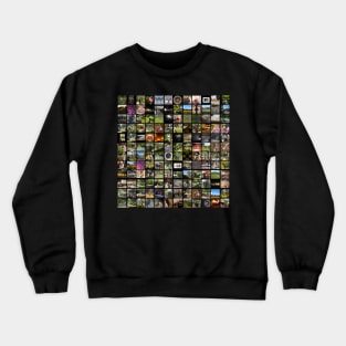 Images of Magpie Springs Crewneck Sweatshirt